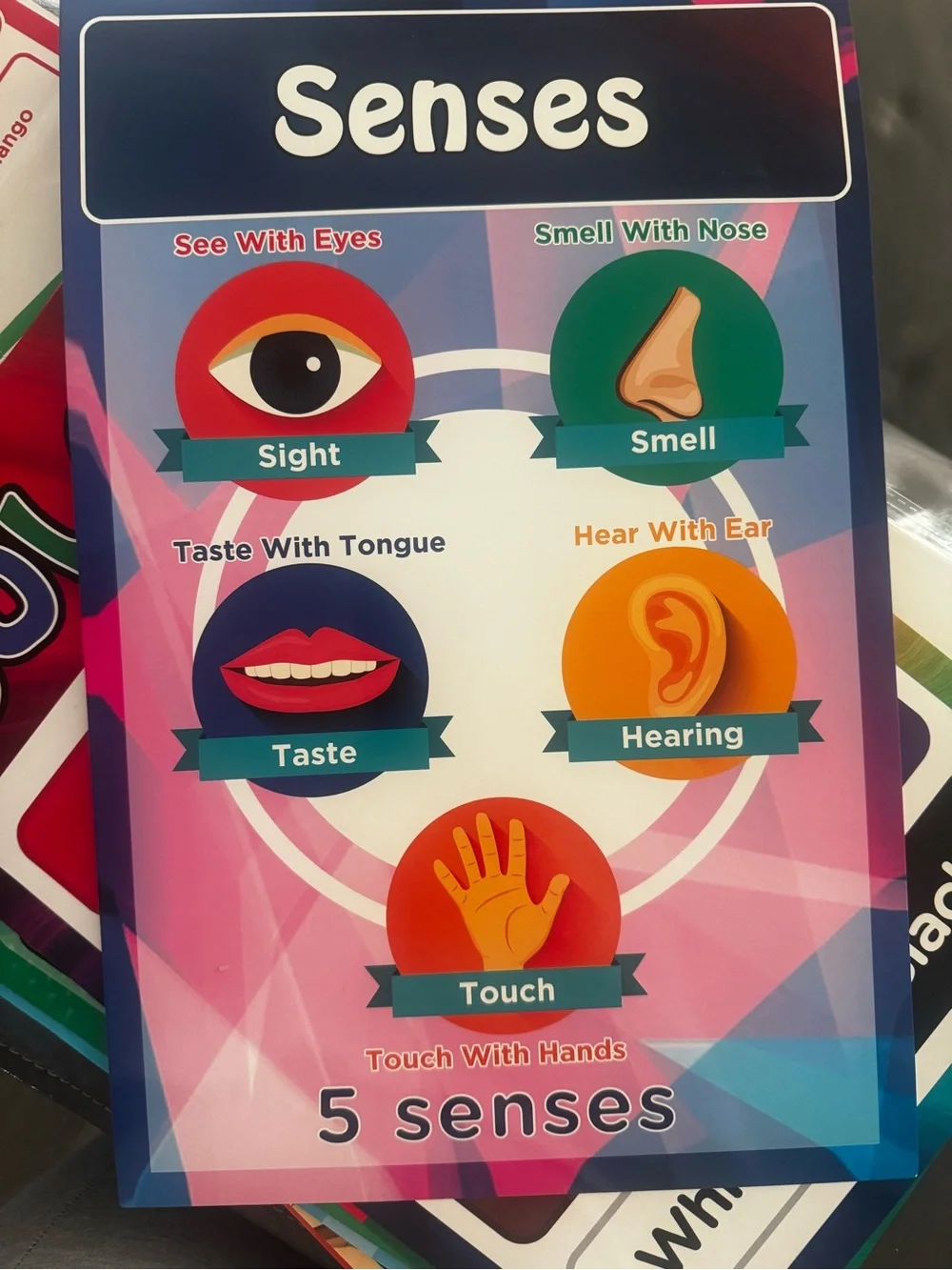20 Pack Large Kids Laminated
